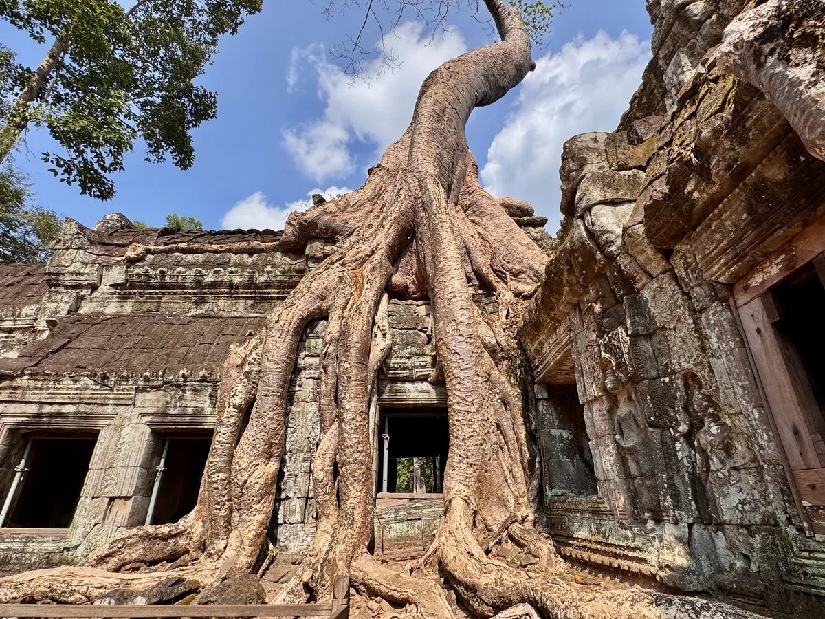Ta Prohm
